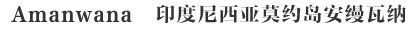Amanwana印度尼西亚莫约岛安缦瓦纳