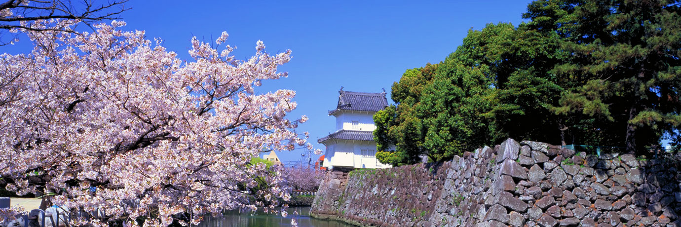 日本图片